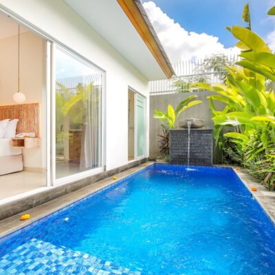 garden _ pool (13)